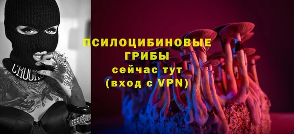 PSILOCYBIN Верея