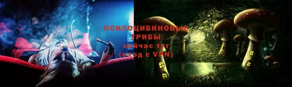 PSILOCYBIN Верея