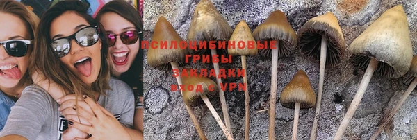 кокс Волосово