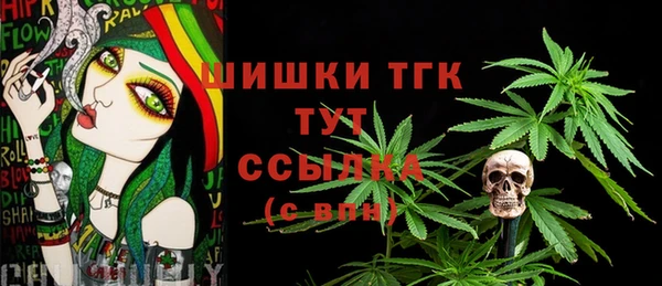 PSILOCYBIN Верея