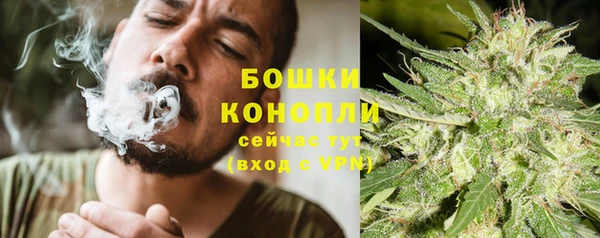 PSILOCYBIN Верея